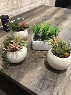 Faux Plants