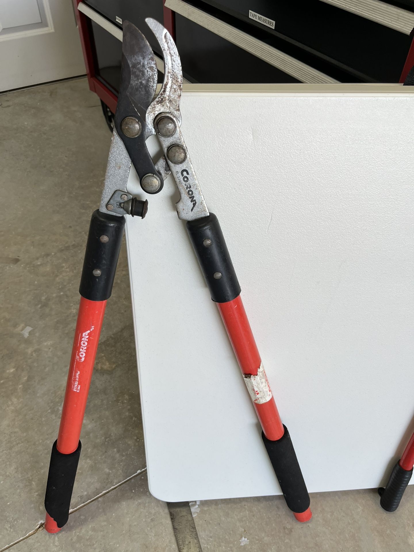 Tools Pruning @ Bolt Cutter ($20 Each)