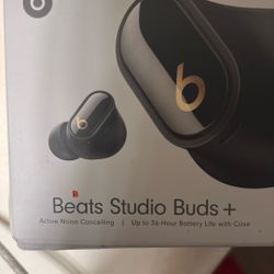 Beats Studio Buds Plus
