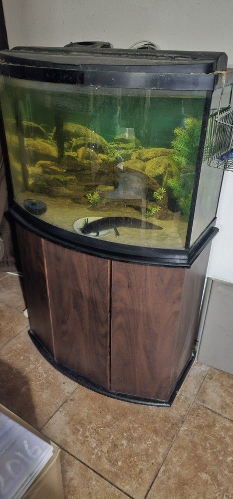 Fish Tank Stand