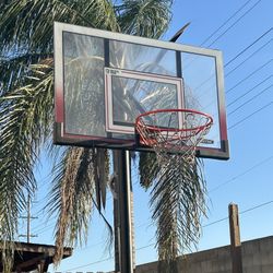 Lifetime Height Adjustable Portable Basketball Hoop 