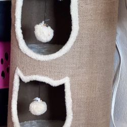 Cat Scratcher 