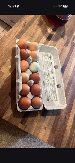 Fresh eggs