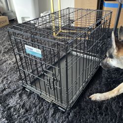 Small Dog Crate