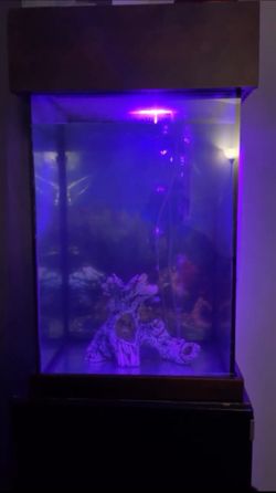 FISH TANK As Is