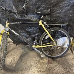 ALX 79 Reflex Bike