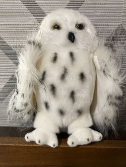 Douglas snowy owl