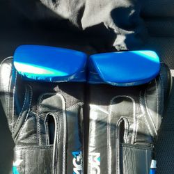 RDX Boxing Gloves