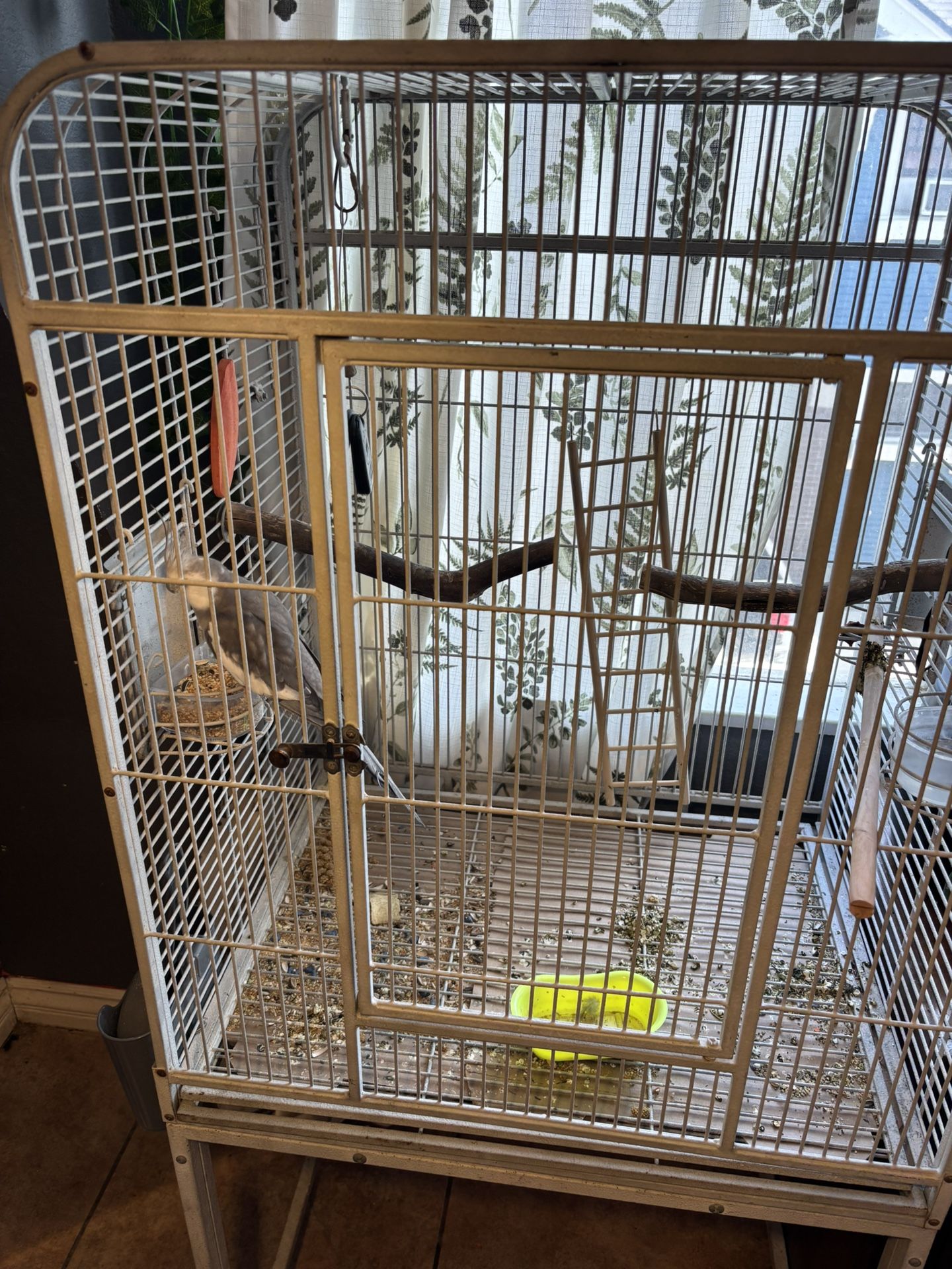 Bird Cage