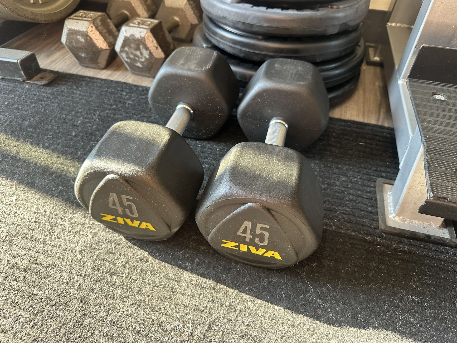 45lbs Dumbbells - Weights - Gym Equipment - Workout