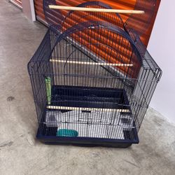 Bird cage 