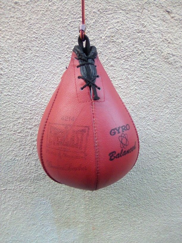 Everlast Pro Speed Bag Leather USA Made