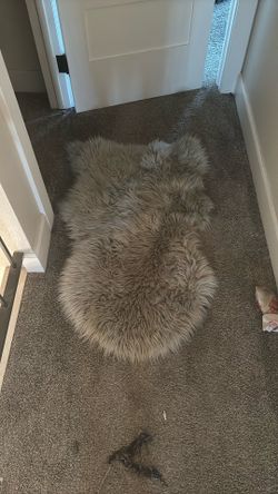 Soft Fur Rug