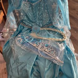 Elsa Costume 