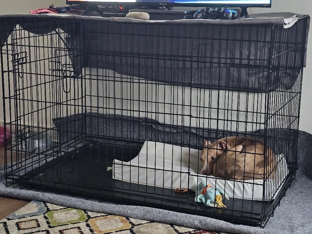 XL Dog Cage