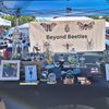 Beyond Beetles 