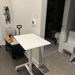 Rolling Standing Desk 