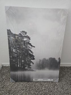 Ikea Canvas Wall Art