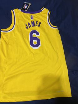Nike Men's Lebron James Lakers Jersey