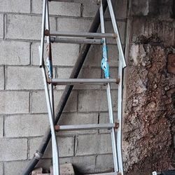 12 Foot Latter
