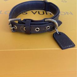 Authentic Louis Vuitton Baxter Dog Collar