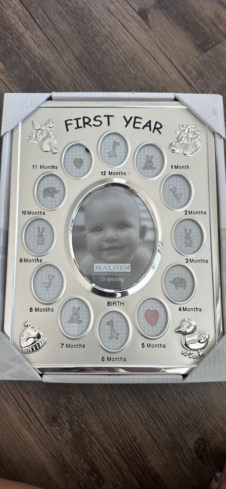 Baby Monthly Milestone First Year Photo Frame- Brand New