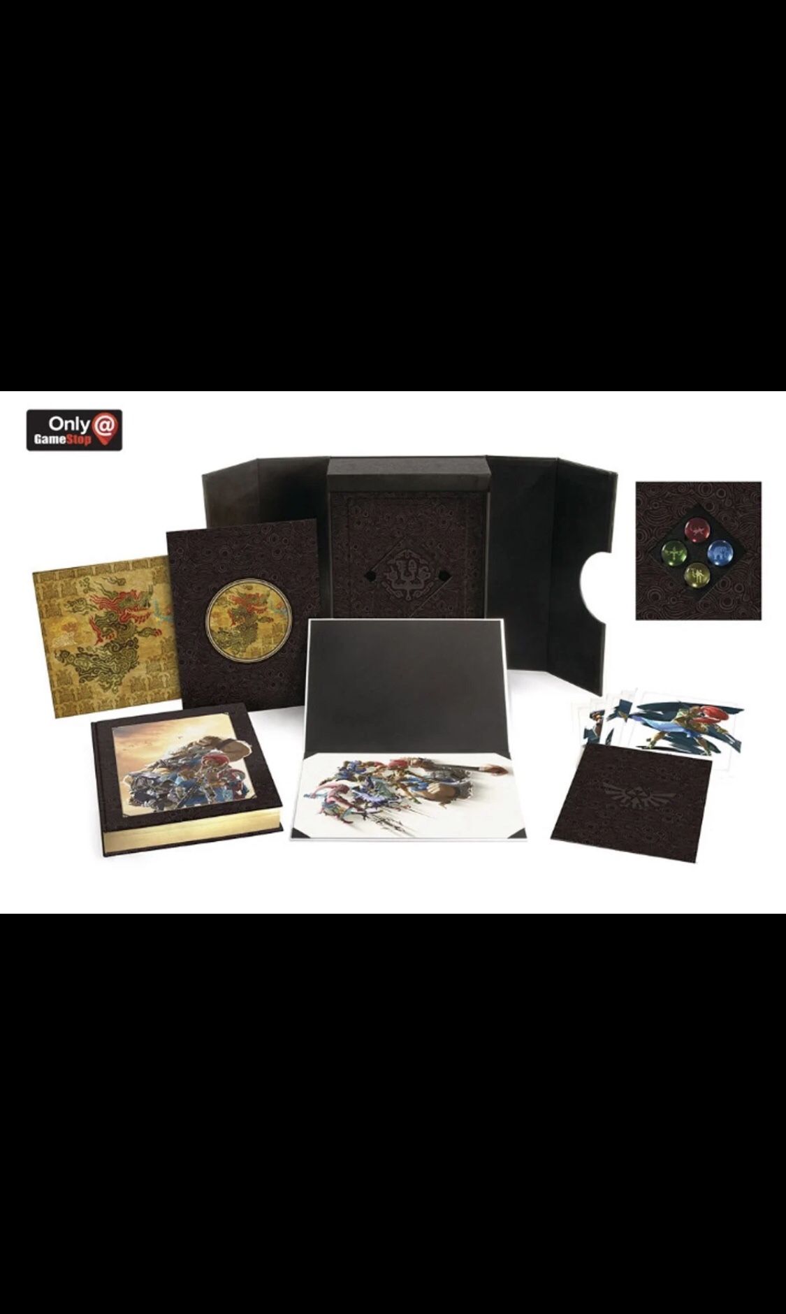 The Legend of Zelda Breath of the Wild Creating a Champion Champions’ Edition