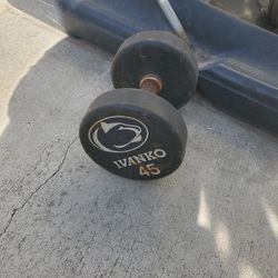 45 Lb Ivanco Nittany Lions Dumbbell