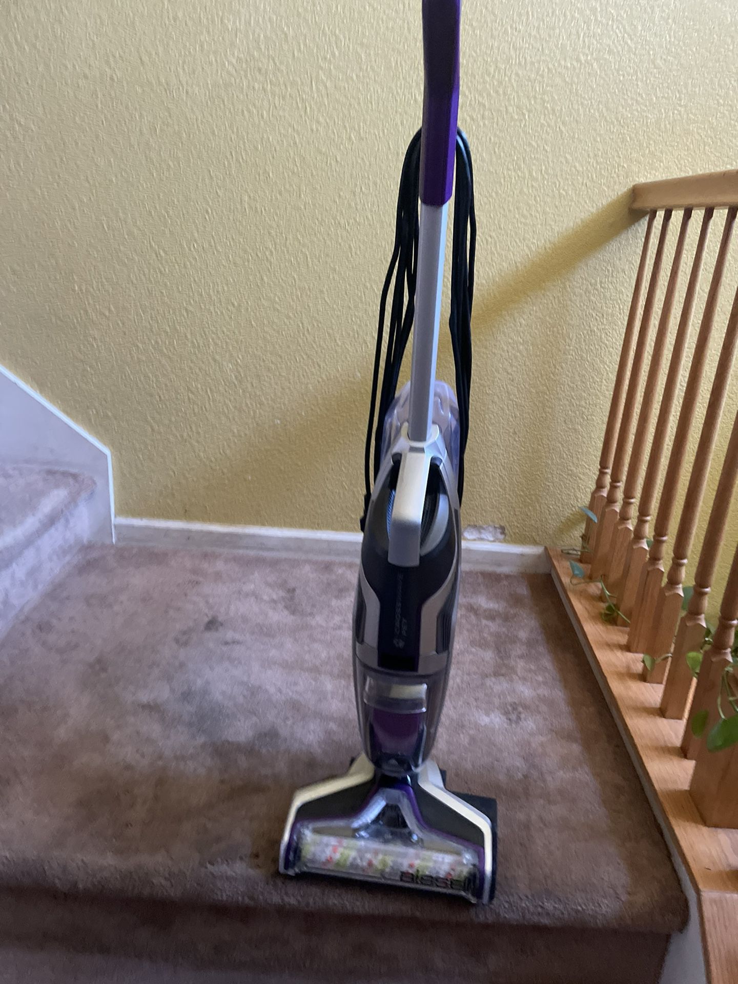 Bissell Crosswave Pet Vacuum 