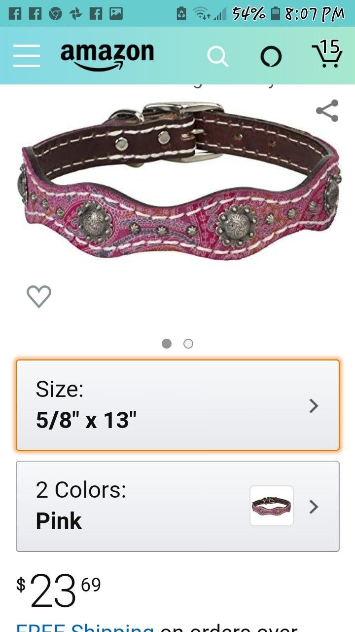 Leather Dog Collar & Leash