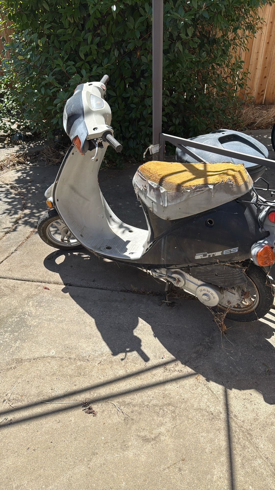 Honda Elite Moped