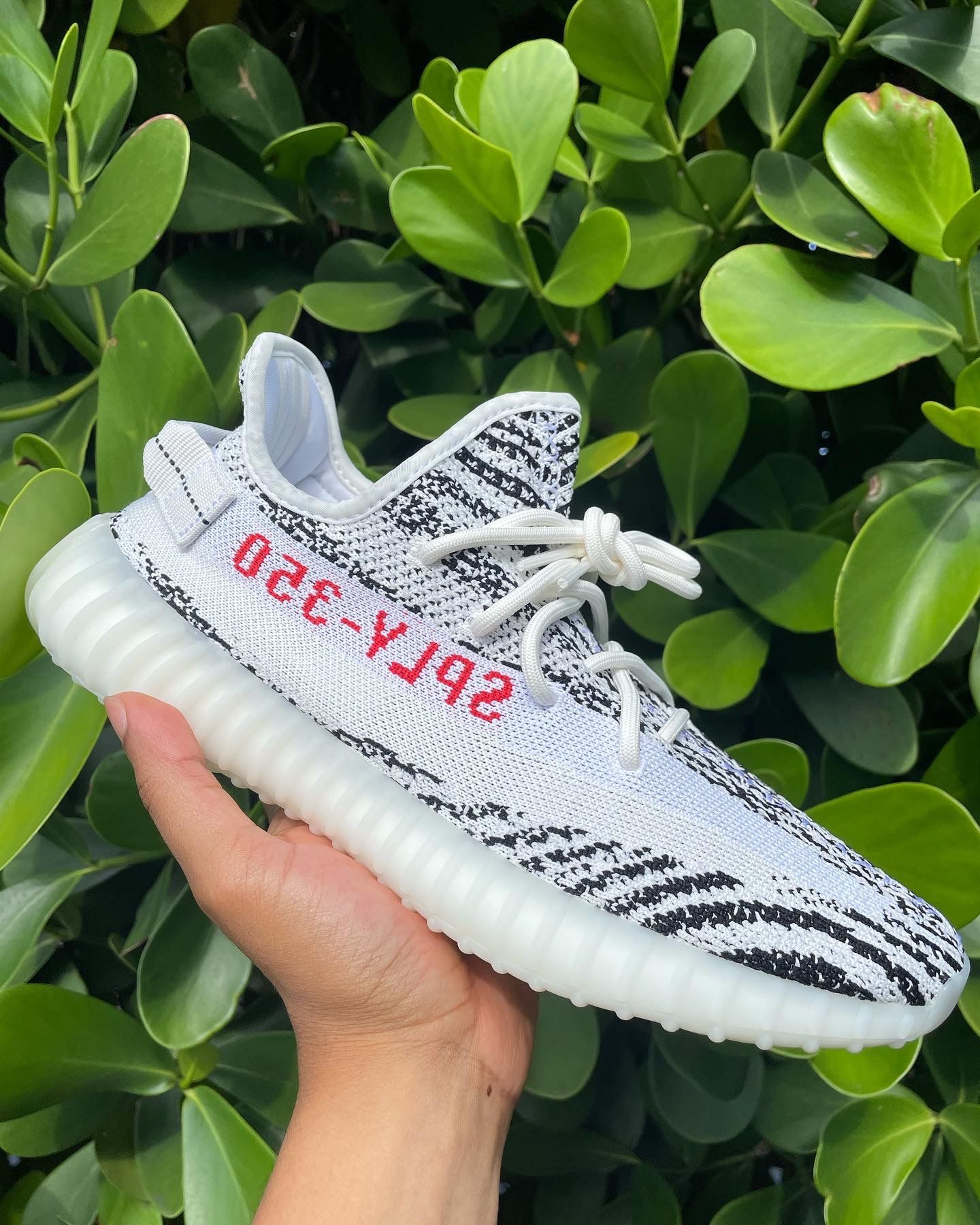 Shoes 350z Yeezy Yeezy Boost 350z V2 Zebra