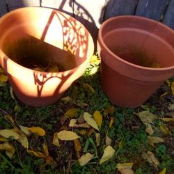 Large Terra Cotta Clay(2 Pots)