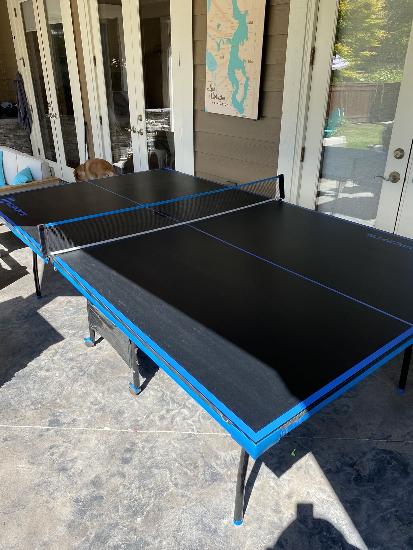 Ping Pong Table