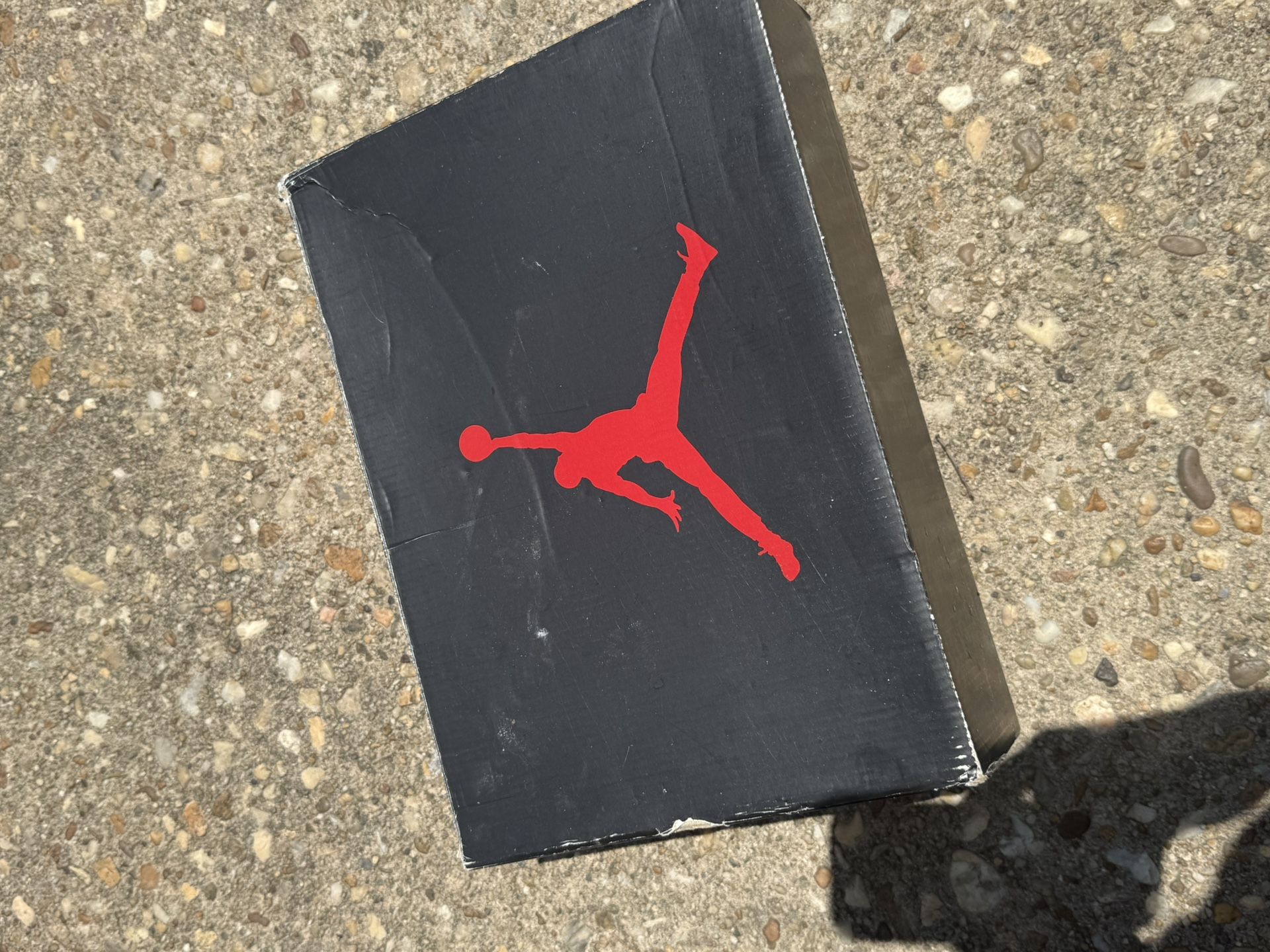 Jordan 12s Stealth Grey 