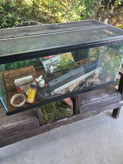 Reptile Habitat