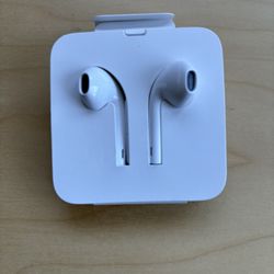 Apple Earphones And Dongle 