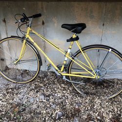 12 Speed Batavus Touring