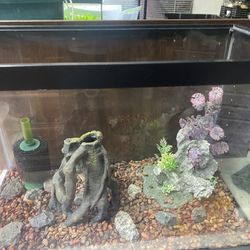 20 Gallon Aquarium Fish Tank With Decorations And Gravel And Filter and filter pump