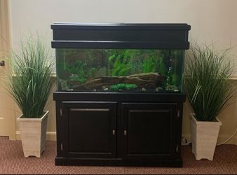 Fish Tank Stand