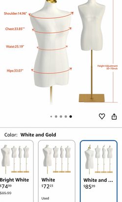 Mannequin torso
