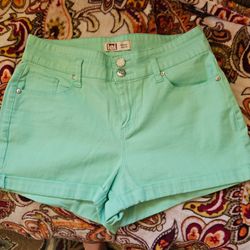 $5     L E.I. MINT GREEN SHORTS     SIZE 11 R