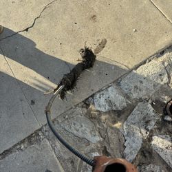 Snake Drain!