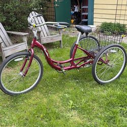 Meridian Cargo Tricycle