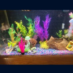 Fish Tank 60 Gallons  Still amenable