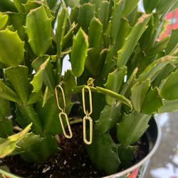 14k Earring Yellow Gold