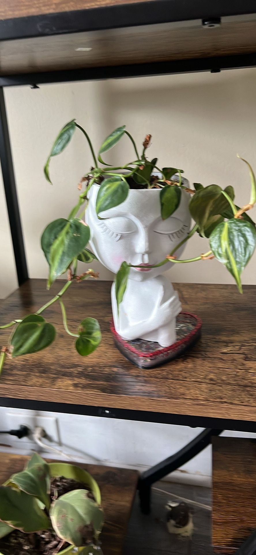 Face Pot With Plant