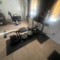 Work Out Bench /Dumbbells  