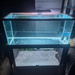 40  Gal With Stand 