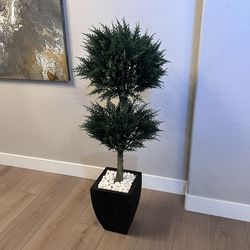 5 Foot Double Ball Cypress Topiary Tree w/ Black Ceramic Planter UV Resistant (Indoor/Outdoor)
